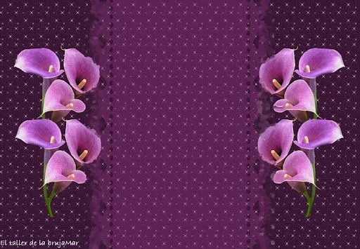 Flores moradas para fondo de pantalla - Imagui
