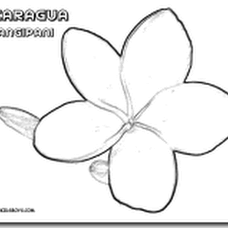 Flores de todo el mundo para colorear - Jugar y Colorear Flores de todo el mundo para colorear - Jugar y Colorear