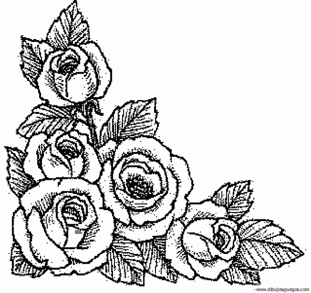 flores de navidad para colorear e imprimir - Buscar con Google ... flores de navidad para colorear e imprimir - Buscar con Google ...