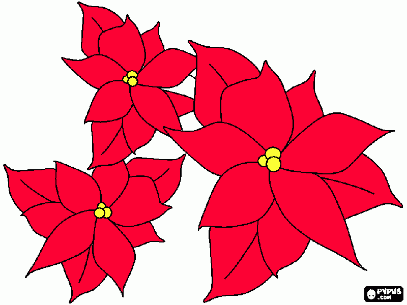 flores noche buena Colouring Pages (page 2)