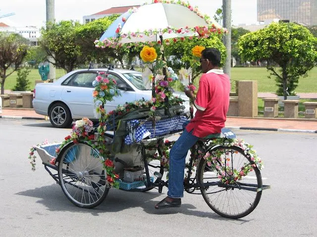 Flores y Palabras: Fotos de Malasia