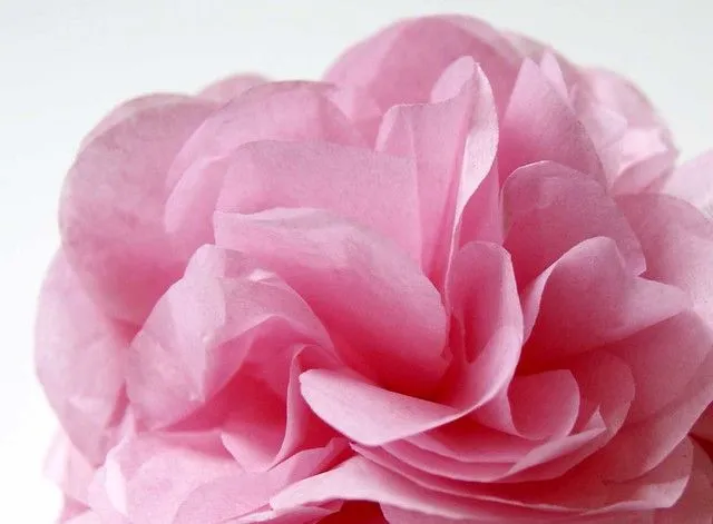 Flor de papel de china | Flickr - Photo Sharing! Flor de papel de china | Flickr - Photo Sharing!