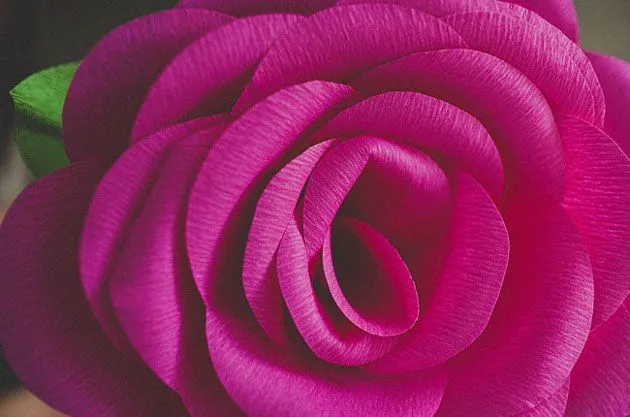 Como hacer rosas en papel crepe paso a paso - Imagui Como hacer rosas en papel crepe paso a paso - Imagui