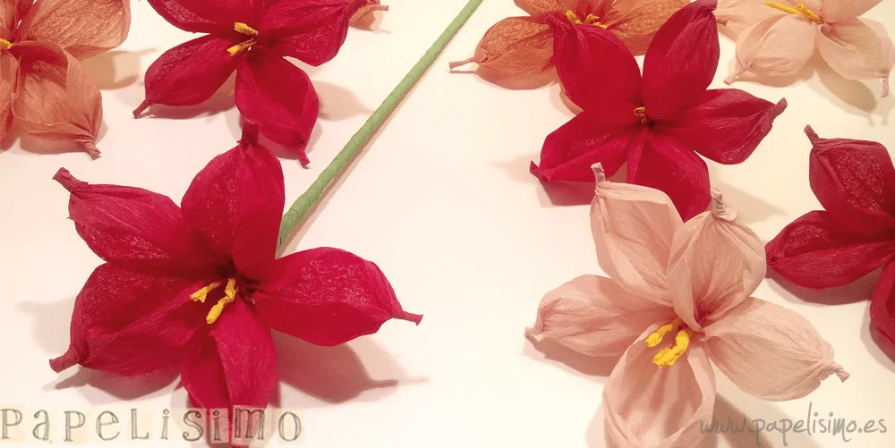 Flores de papel – Papelisimo