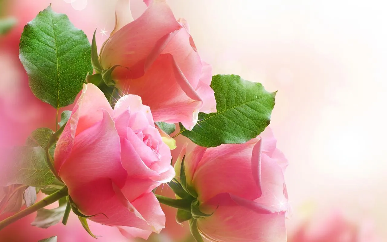 Flores Papel De Parede Animado para Android - APK Baixar Flores Papel De Parede Animado para Android - APK Baixar