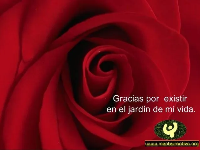 flores-para-la-amistad-6-638. ...