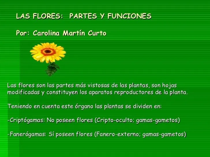 LAS FLORES, sus partes y funciones