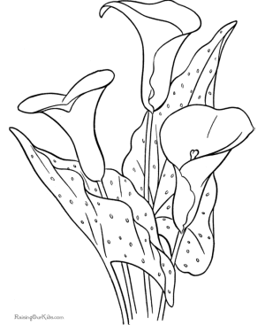 Flores para pintar