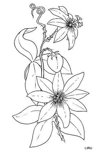flores para pintar | MULTY PATRONES