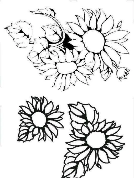 flores para pintar en tela | Imagenes para Colorear | Pinterest
