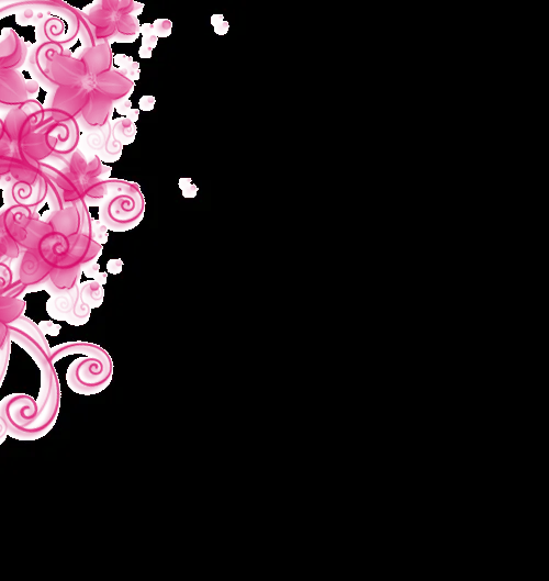 Flores PNG by duddeyp on DeviantArt
