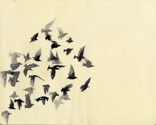 Aves volando tumblr - Imagui