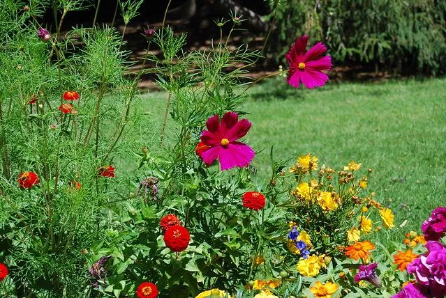 Flores reales. | Flickr - Photo Sharing!