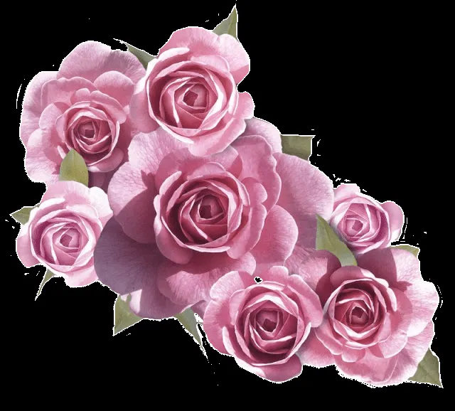 Flores rosas png - Imagui