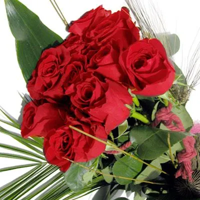 Flores para San Valentín | Plantas de interior y exterior Flores para San Valentín | Plantas de interior y exterior