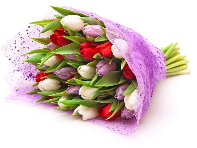 Flores de tulipanes blanco y morado ~ Mejores Fotos del Mundo ...
