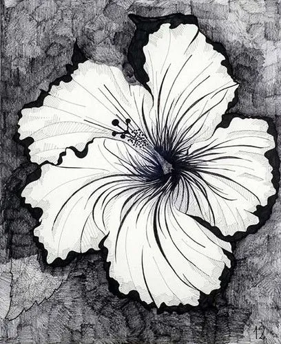 Flores tumblr dibujos - Imagui