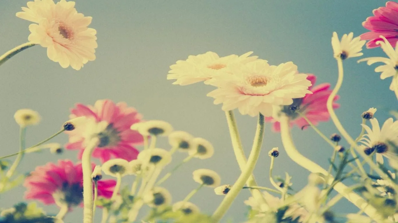 flores vintage | I love vintage