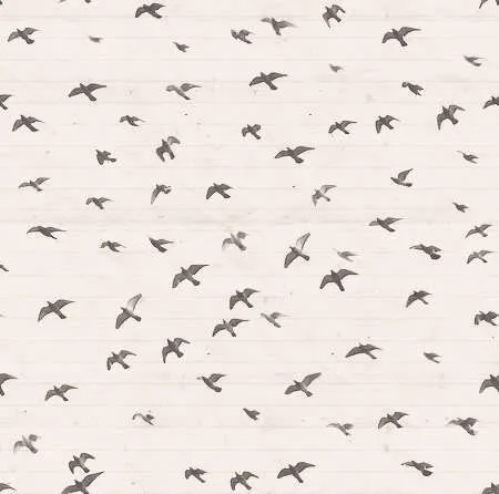 Fondos de pantalla tumblr vintage - Imagui