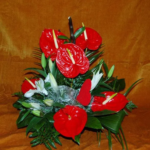 Flores Zaragoza Edelweiss - flores naturales | centros naturales ... Flores Zaragoza Edelweiss - flores naturales | centros naturales ...