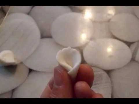 Más flores.mov - YouTube
