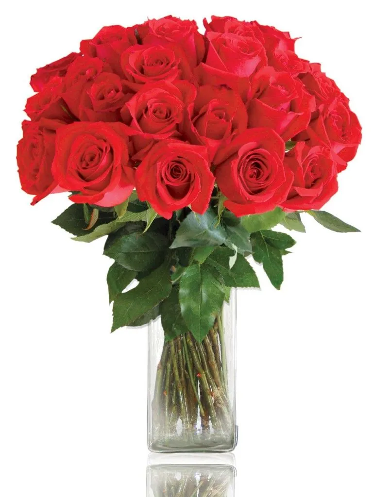 flores+para+comprar+san valentin+dia de la Madre+Cumpleaños | El ... flores+para+comprar+san valentin+dia de la Madre+Cumpleaños | El ...