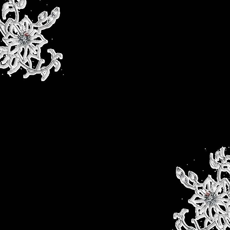 Flores.png by dannadirectioner on DeviantArt