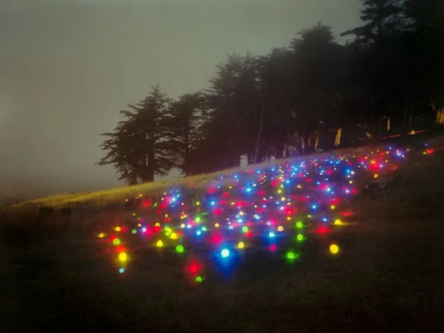 Florestas obscuras e light painting por Barry Underwood | Blog da ...