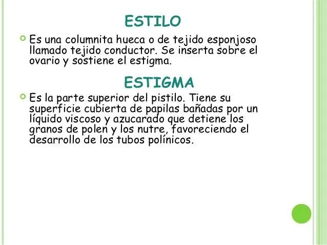 La flor..grupo a