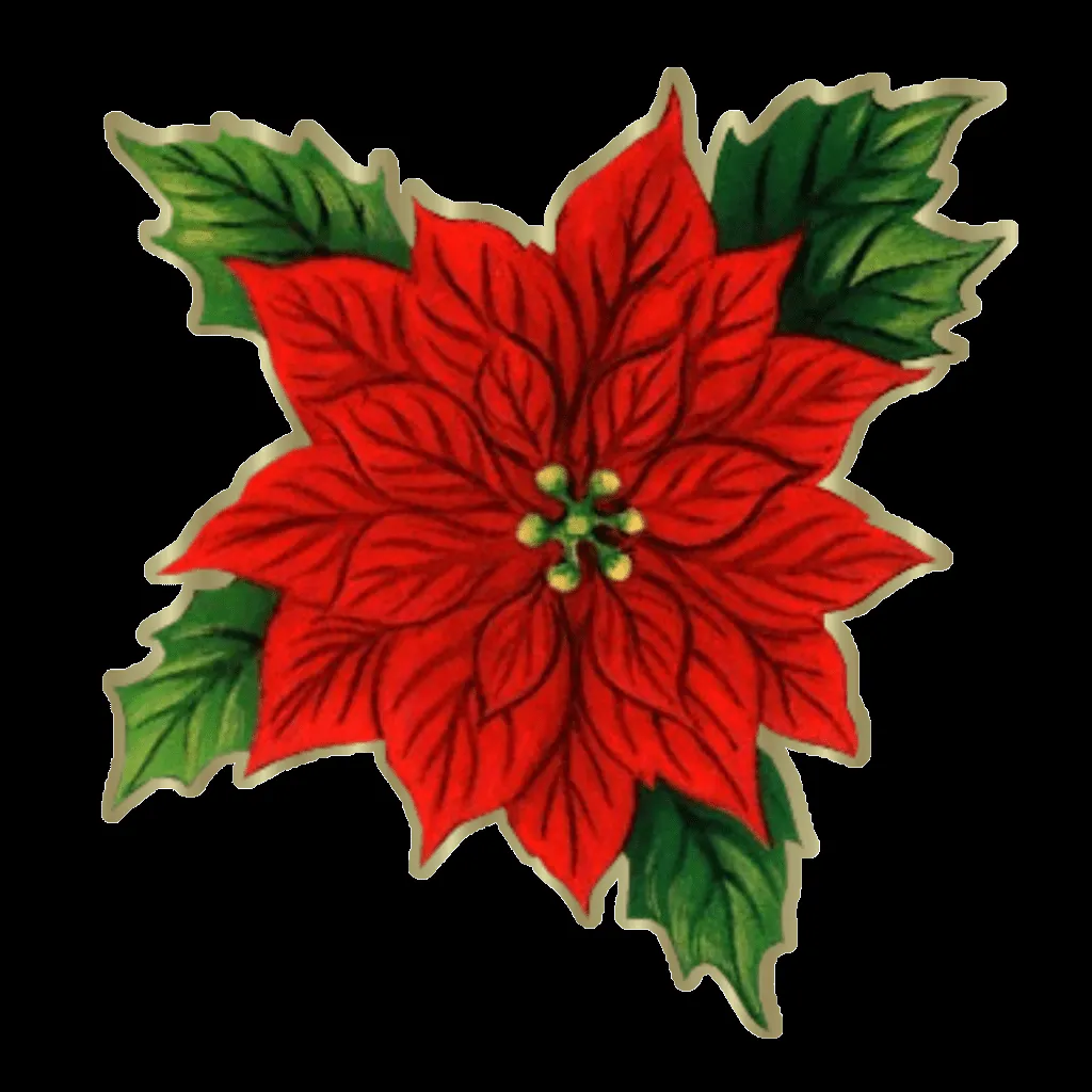 FLORISTERIA CARLOS: GRAN OFERTA EN PLANTA DE PASCUA FLORISTERIA CARLOS: GRAN OFERTA EN PLANTA DE PASCUA