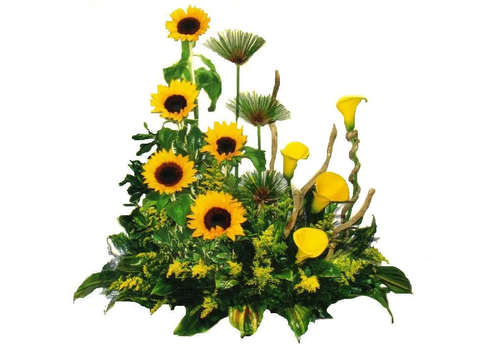 Floristeria Jardin de Arte | Redes Colombia - Sitio Oficial de ...