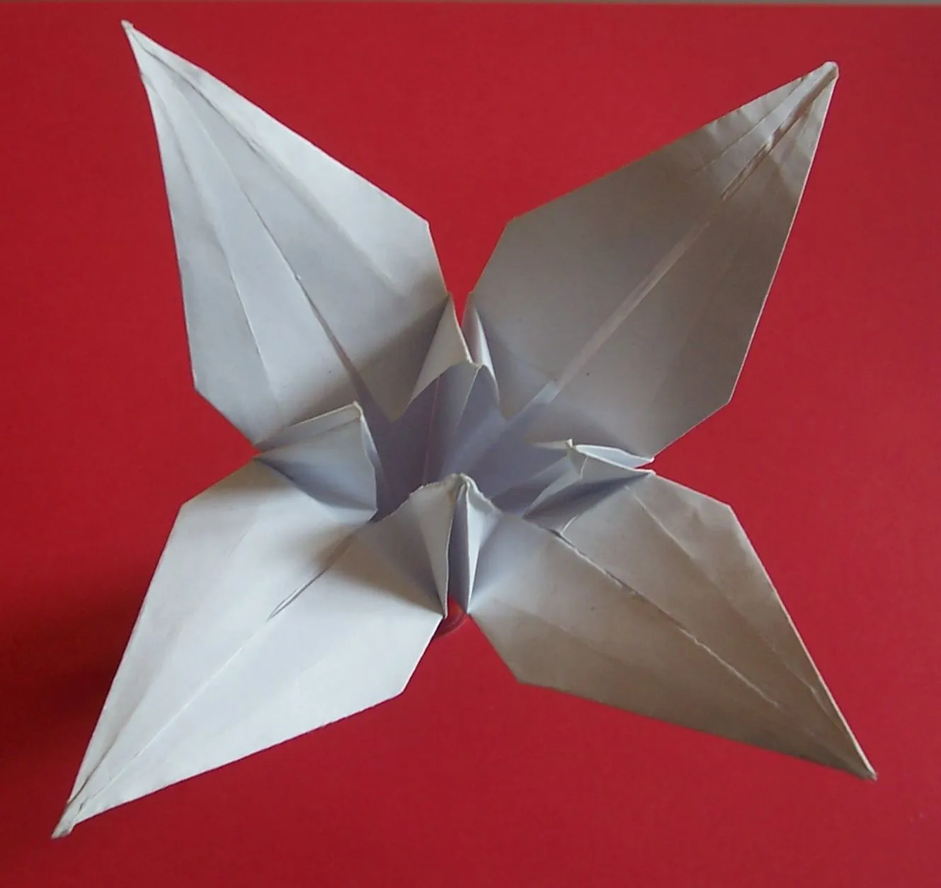 flor.jpg