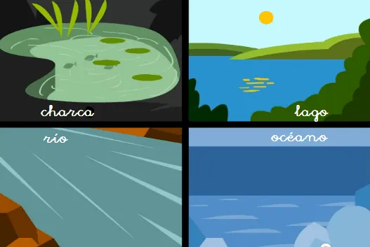 flotsflotador: La fuerza de la naturaleza: ECOSISTEMA flotsflotador: La fuerza de la naturaleza: ECOSISTEMA