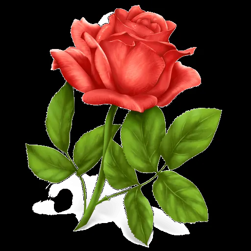 Flower, Plant, Rose icon | Icon Search Engine | Iconfinder Flower, Plant, Rose icon | Icon Search Engine | Iconfinder