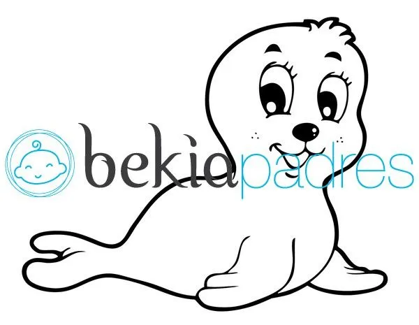 Foca: dibujo para colorear