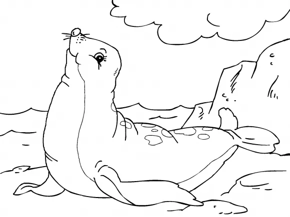 Foca para imprimir | ParaCOLOREAR.net