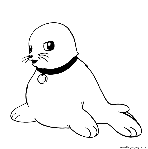 dibujo-de-foca-010 | Dibujos y juegos, para pintar y colorear