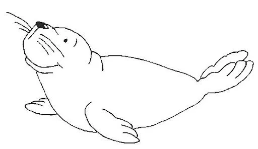 FOCAS DIBUJOS PARA COLOREAR | Dibujos para colorear FOCAS DIBUJOS PARA COLOREAR | Dibujos para colorear