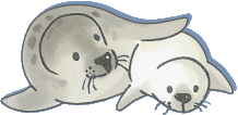 Focas en imagenes para imprimir - Imagenes y dibujos para imprimir ... Focas en imagenes para imprimir - Imagenes y dibujos para imprimir ...