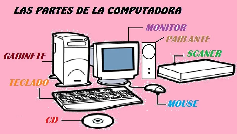 Las focas juegan y aprenden con la compu.: Y llegó el día ...