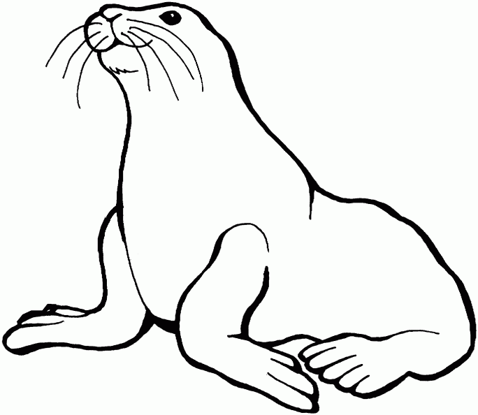 Dibujos para colorear de una foca - Imagui