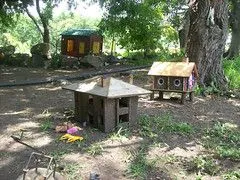 Foco Tonal (Poncitlan Jalisco México) « En el rumbo Foco Tonal (Poncitlan Jalisco México) « En el rumbo