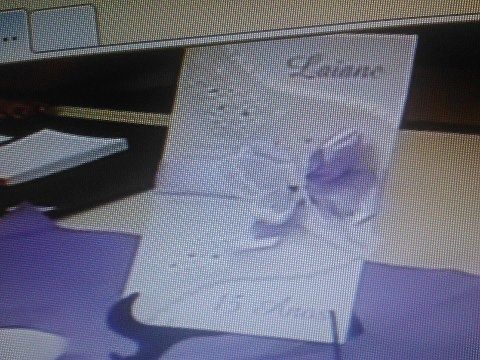 Mis fofuchos novios y mariposa de papel vegetal - Manualidades ...