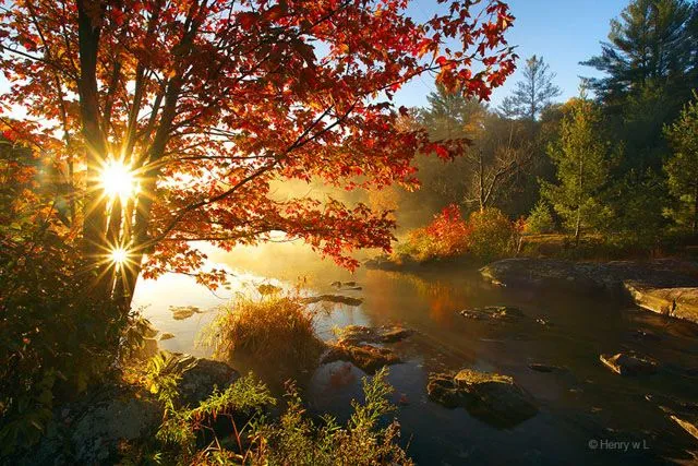 follaje-otono-ontario.jpg
