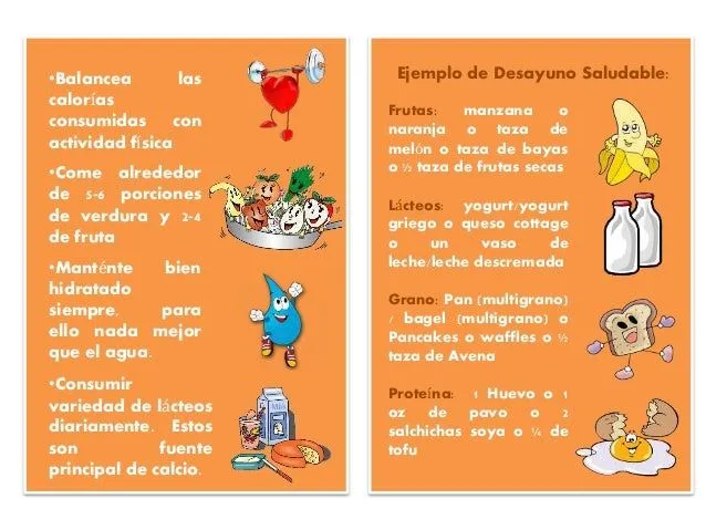folleto-curso-de-nutricin-2- ...