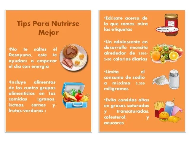 Folleto curso de nutrición