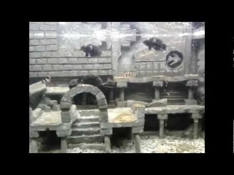 Fondos 3D para peceras - Imagui