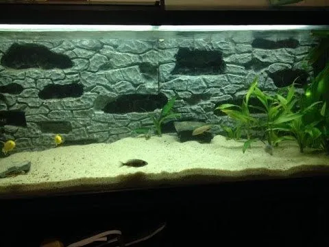Fondo acuario rocoso 3d con cuevas abiertas 1-2 - YouTube