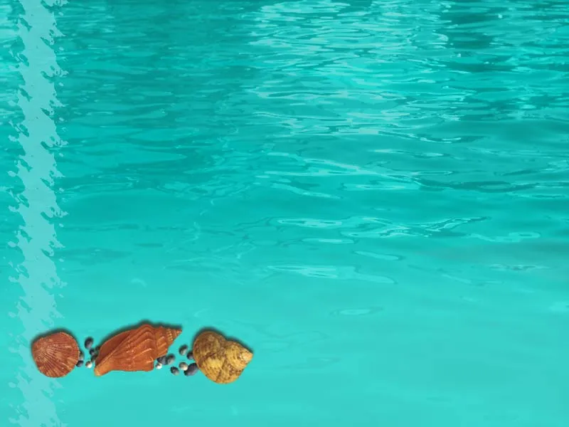 Fondos de mar animados - Imagui