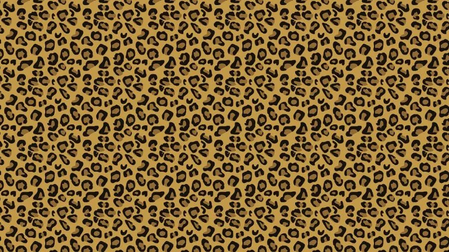 Fondo Animal Print by MariiEditions11 on DeviantArt